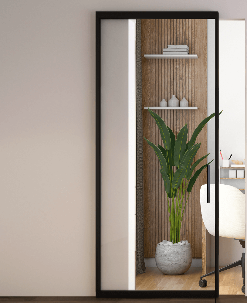 Concealed Glass Doors Clear Glass (MGD10C)