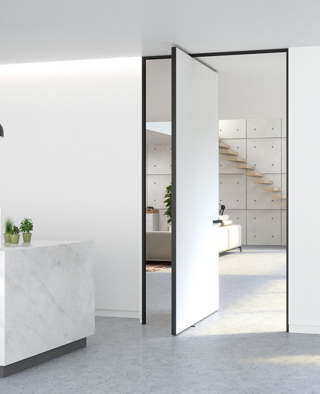 Offset Pivot Door Hardware 120KG (PTH-WF064A)