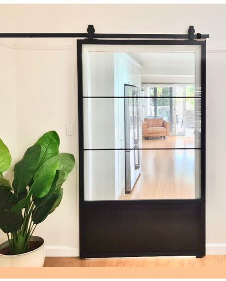 Steel Glass Barn Door (BDS02)