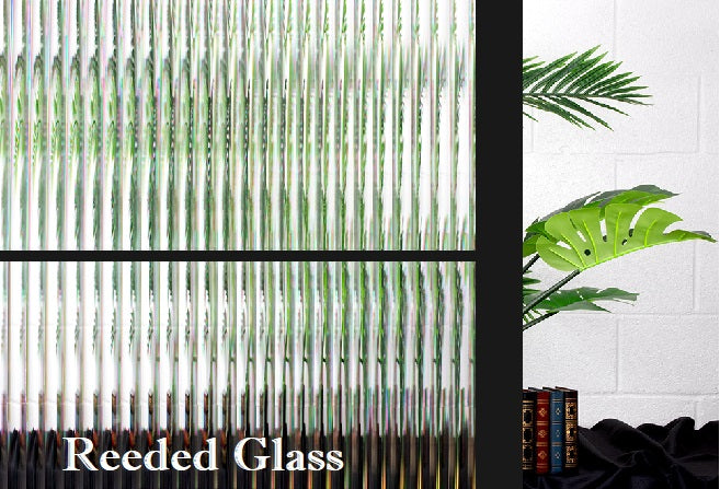 Steel Glass Barn Door (BDS06)