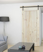 Plank Barn Door( BD001)