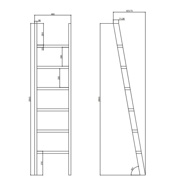Library Ladder Wood Ladder 2M