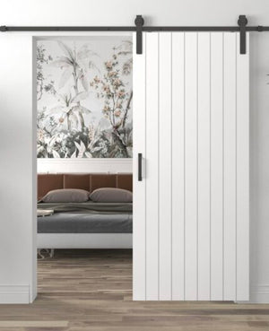 Painted Barn Doors