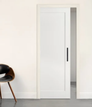 Shaker Cavity Door