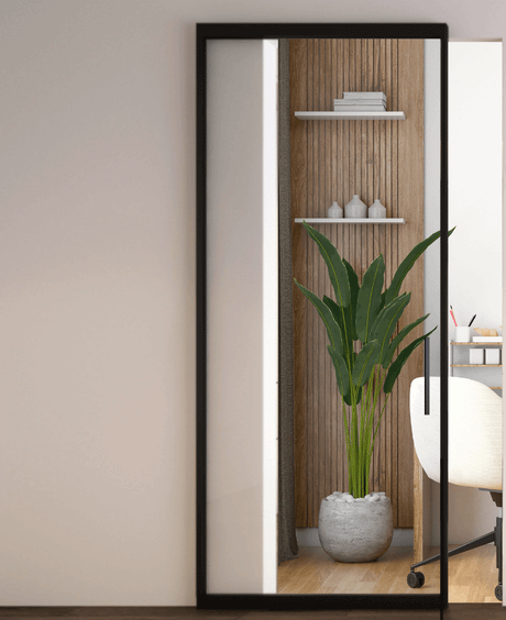 Concealed Glass Doors