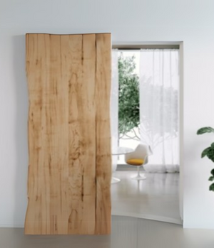 Concealed Doors
