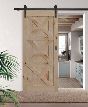 Triple X-brace Barn Door (BD009)