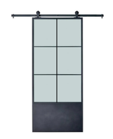 Translucent Glass French Barn Door(BDS13F)