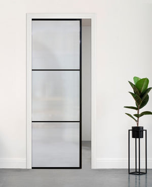 Glass Cavity Door