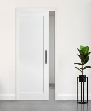 Shaker Cavity Door