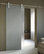 Translucent  Glass Barn Door  (BDG 8MM)