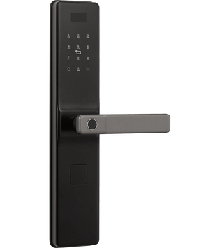 SmartLK6555