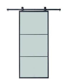 Steel Glass Barn Door (BDS07)