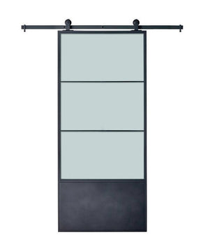 Steel Glass Barn Door (BDS12)